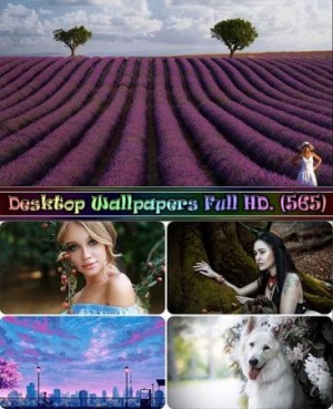 bcabd315ef96a8ba370a3171c4bbf.jpg